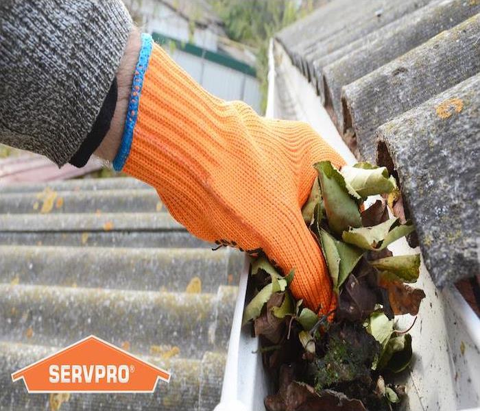Hand in orange glove cleaning leaves out of rain gutter