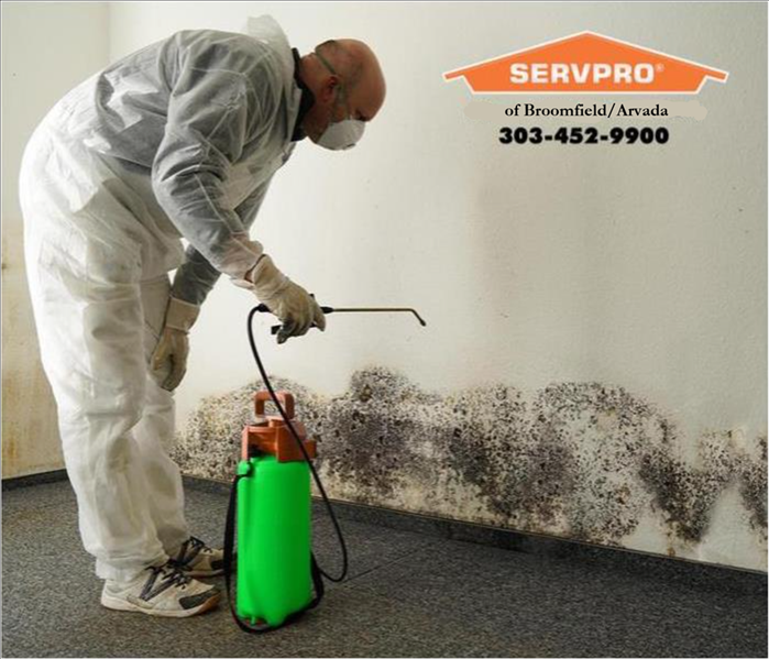 SERVPRO professional cleaning and abating mold damage in Louisville, CO